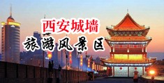 18女子B视频水大欧美中国陕西-西安城墙旅游风景区